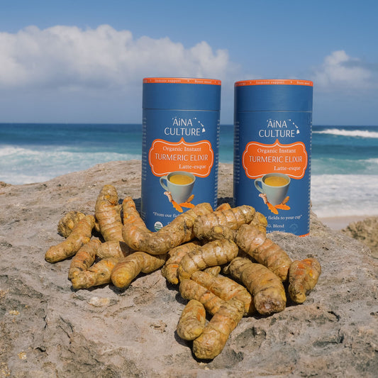 Organic Instant Turmeric Elixir (Latte-esque) 220 grams