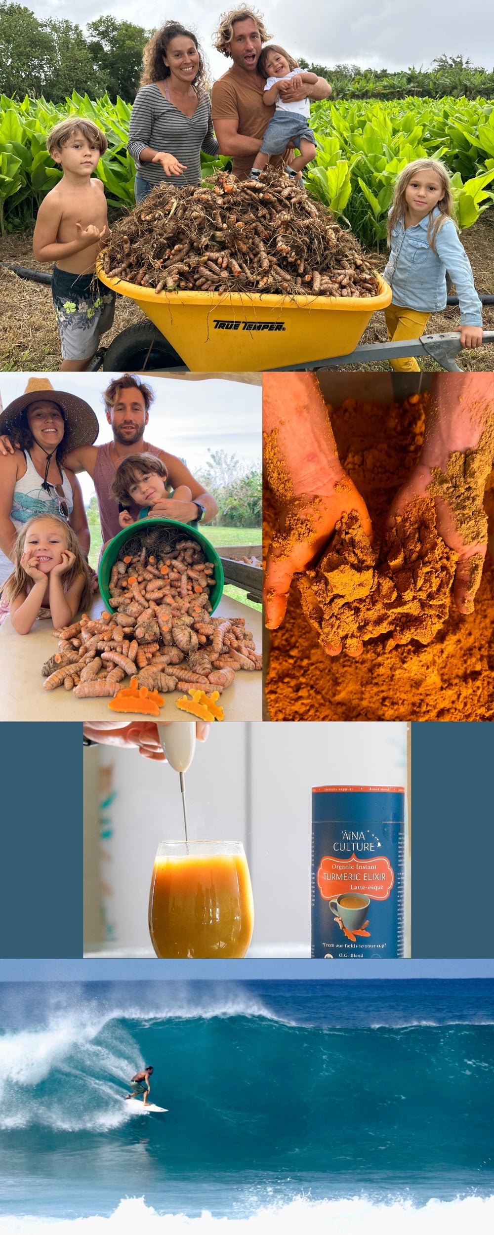 Collage of images, Functional Superfood Organic turmeric elixir blend, AiNA culture family, from our fields to your cup, turmeric powder and surfing